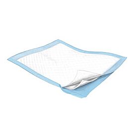 Simplicity Basic Underpads, Light Absorbency - Fluff Core, Disposable, Blue