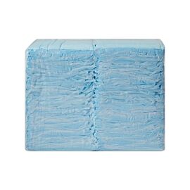 Simplicity Basic Underpad, Disposable, Light Absorbency, 23 X 24 Inch