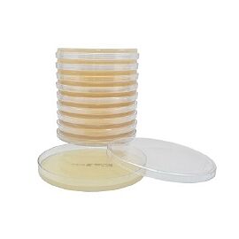 Hardy Diagnostics Mueller Hinton Agar Prepared Media