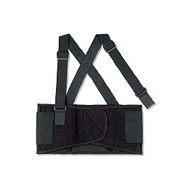 ProFlex 1650 Back Support, Small